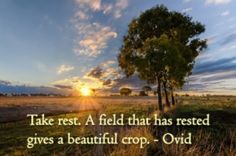 ebb69fe4294aa942906049dcf9049982