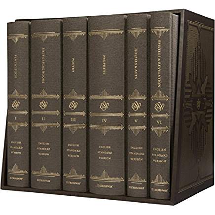 51qu4YVRvCL._AC_US436_QL65_