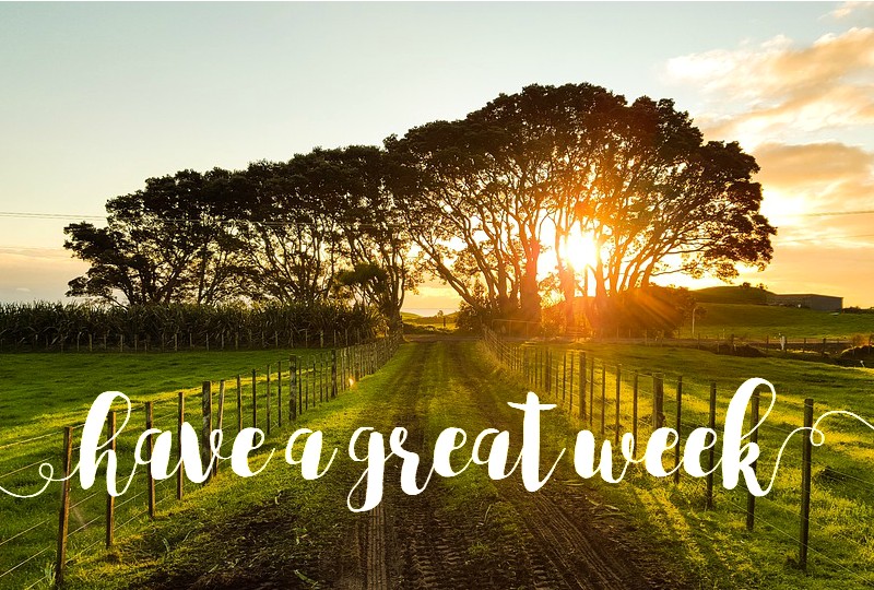 7 Ways to Have a Great&nbsp;Week